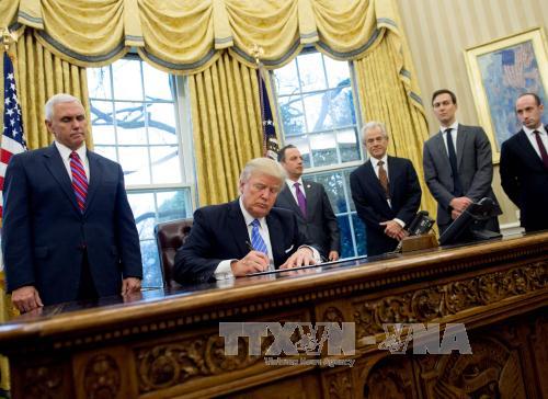 Назначена дата слушаний по делу о российском вмешательстве в президентские выборы